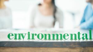 Generation Z: Pioneers of Environmental Consciousness and Sustainable Living